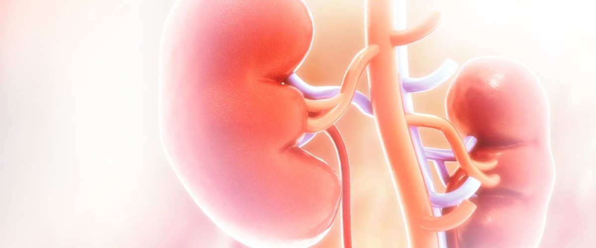 Böbrek yetmezliği vücuttaki bu sinyallerle ortaya çıkıyor