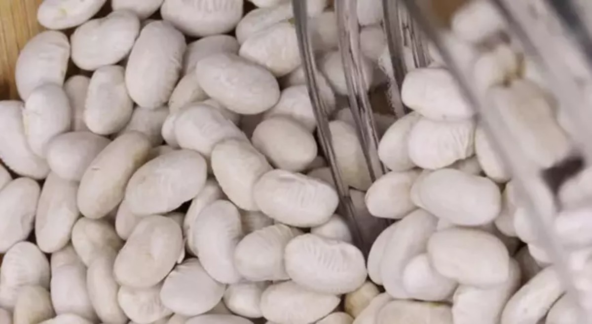 Dolapta bekleyen kuru fasulyeleri böcekten kurtarıyor