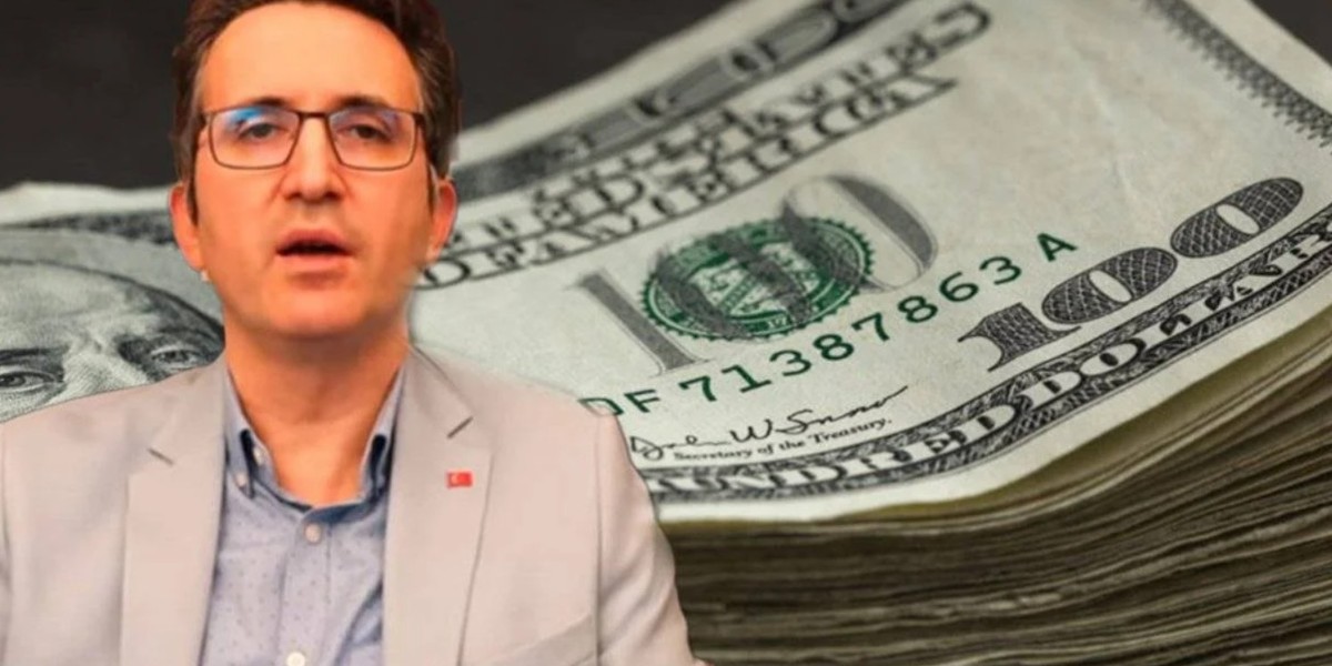 Ekonomist Tunç Şatıroğlu dolar