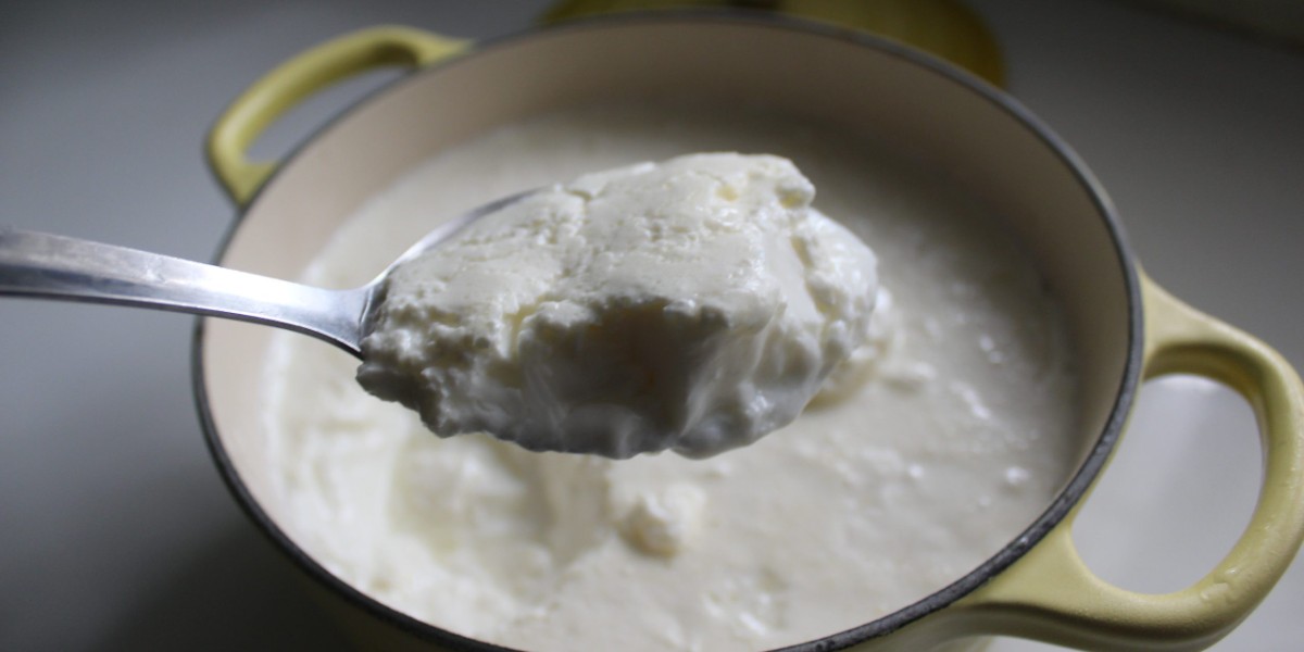 evde yoğurt nasıl yapılır