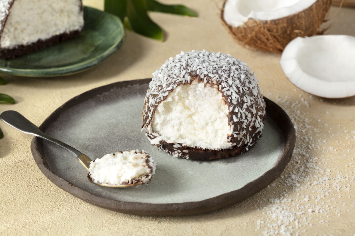 hindistan cevizli kek