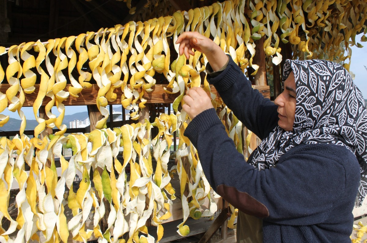 Kabuğu kendisinden daha değerli! Kabuğunu saklayıp satan paraya para demiyor