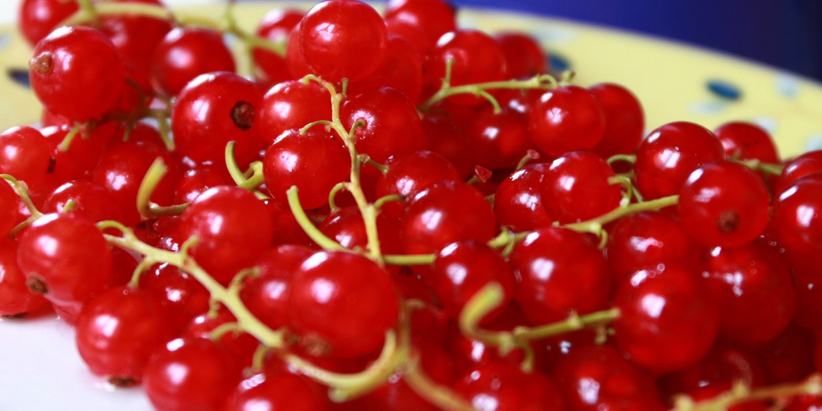 kızılcık meyvesinin faydaları