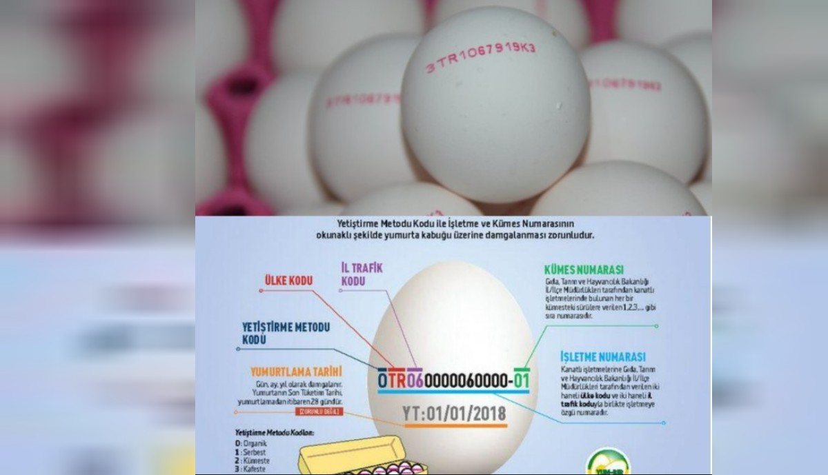 yumurta koduna göre organiklik anlama