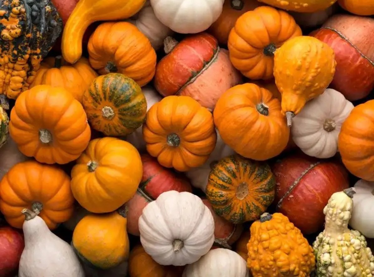 bağışıklık sisteminizin güçlenmesini sağlayacak 10 besin