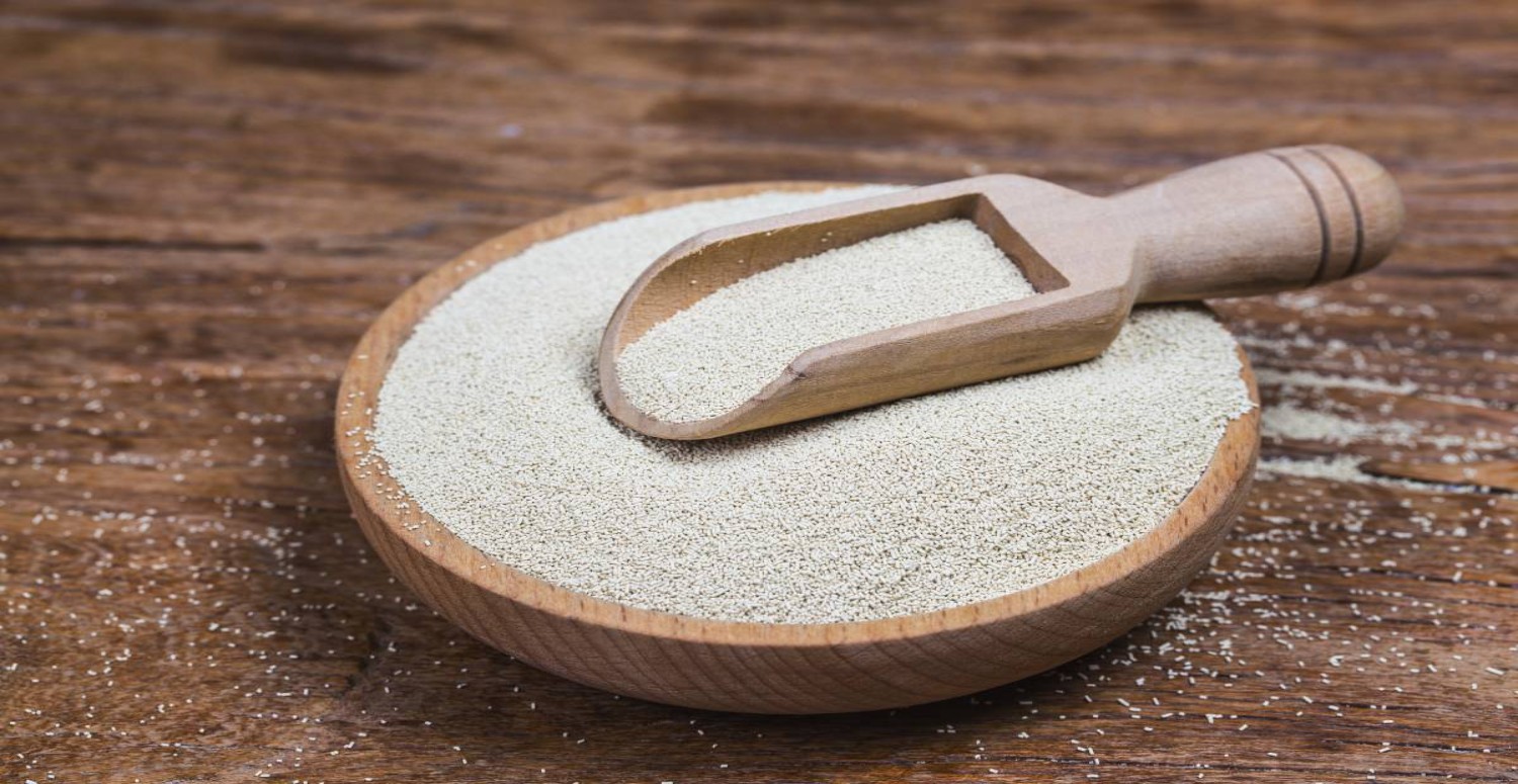 BULYON YERİNE KURU MAYA