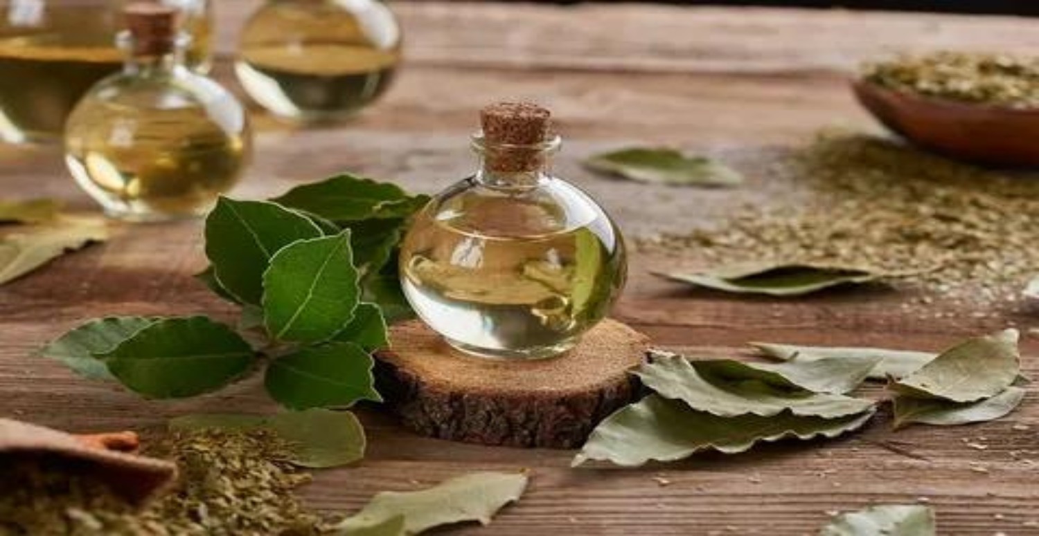 defne yaprağı yağı