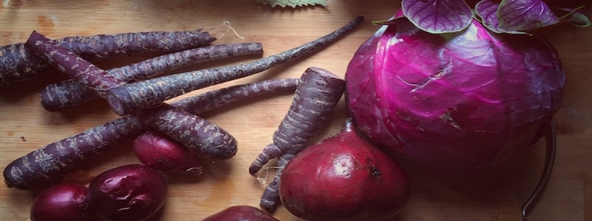 mor renkli sebzelerin faydaları