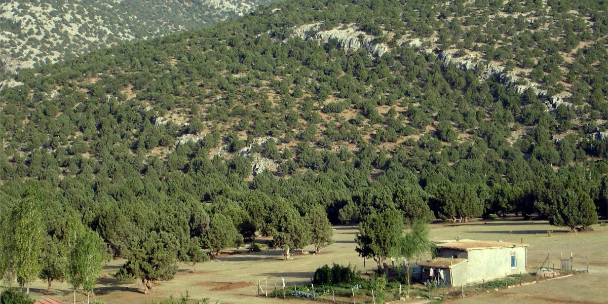 o ilçe kayseri'ye bağlandı