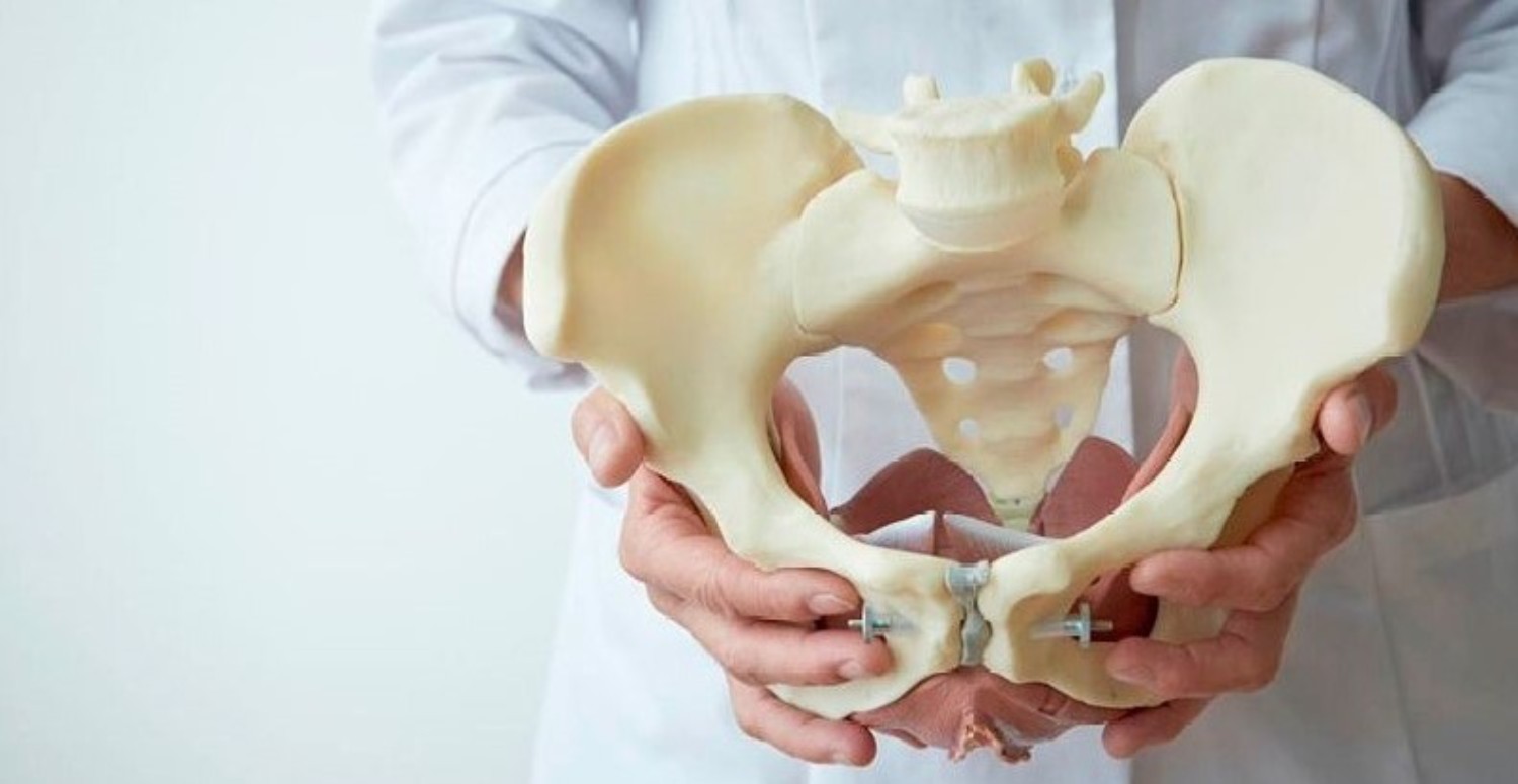 pelvis bölgesini ne çalıştırır