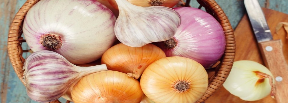 sağlık için ne kadar soğan sarımsak tüketmek gerekiyor