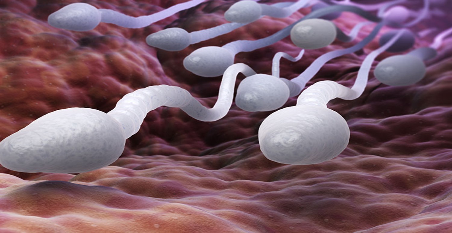 SPERM AZLIĞI