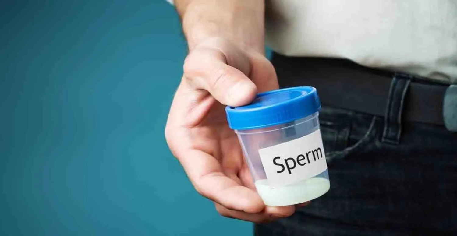 SPERM KALİTESİ