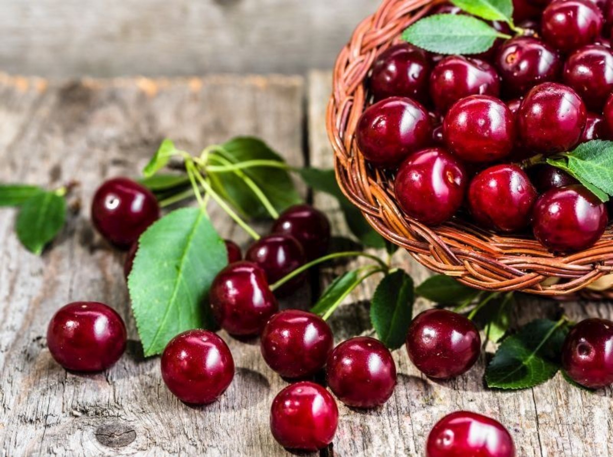 Uykusuz gecelere bir kase ile son verin