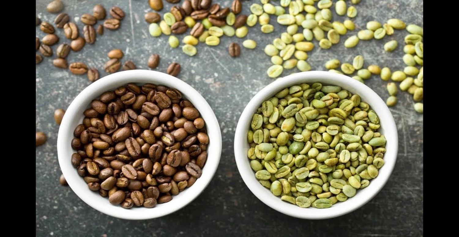 yeşil çay tohumu mucizesi