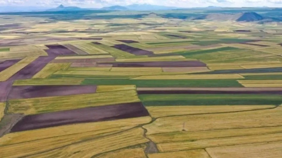 14 bin TL parası olan yaşadı! Bir telefon parasına arsa satışı yapılacak