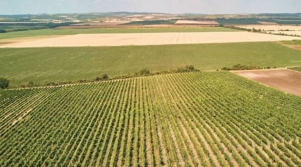 50 ilde yaşayanlara kaçırılmaz yatırım fırsatı