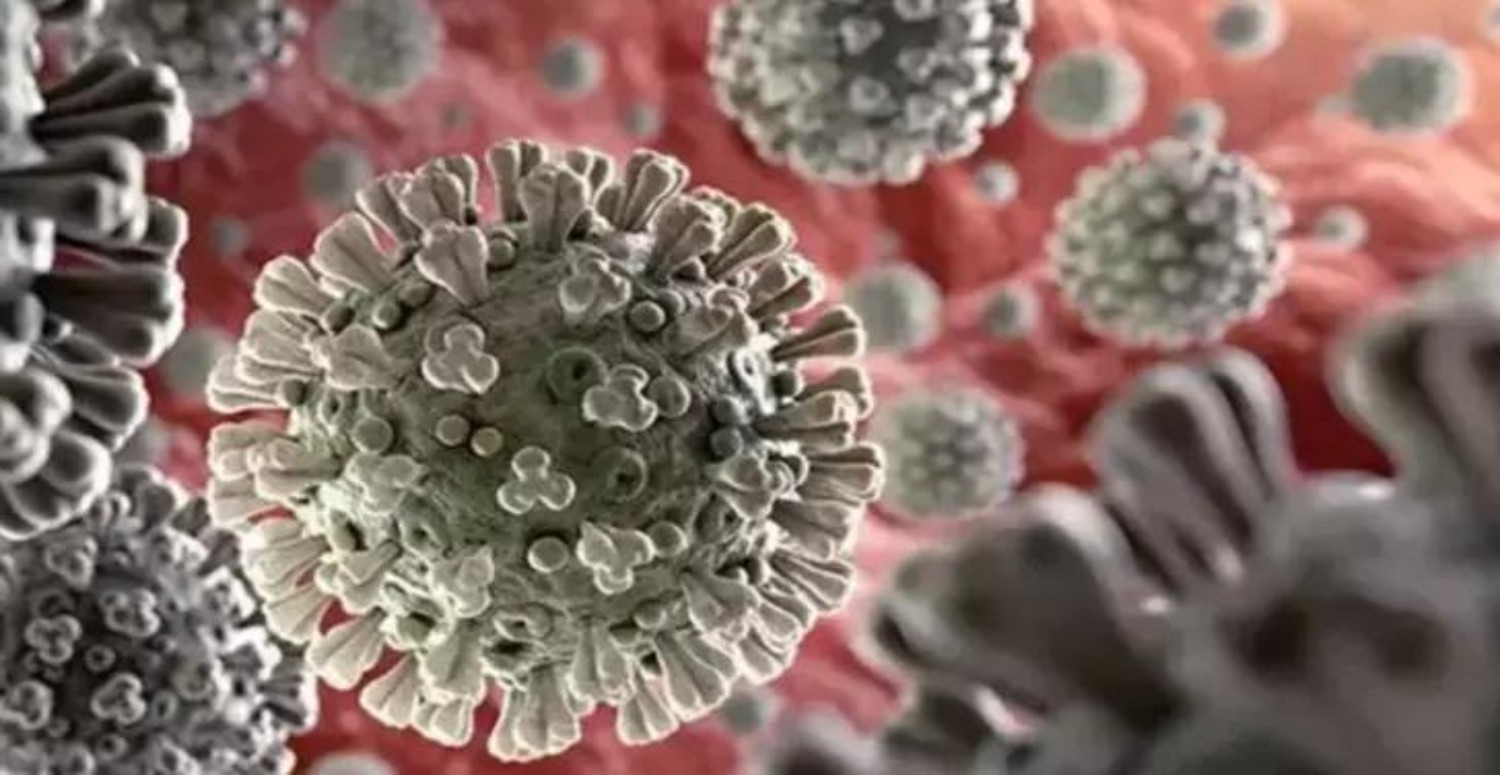 ALASKAPOX ÖZELLİKLERİ