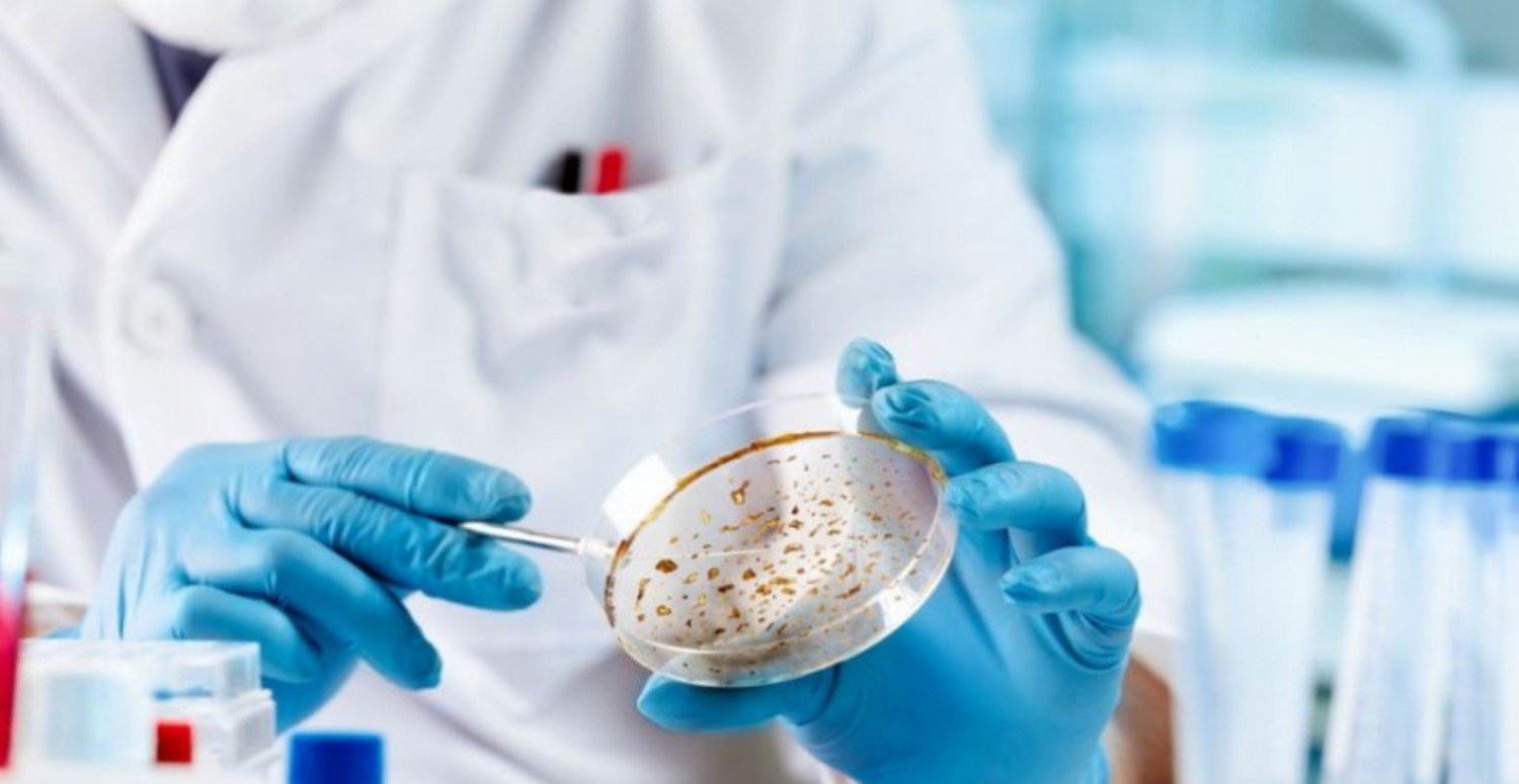 ALASKAPOX VİRÜSÜ HAKKINDA