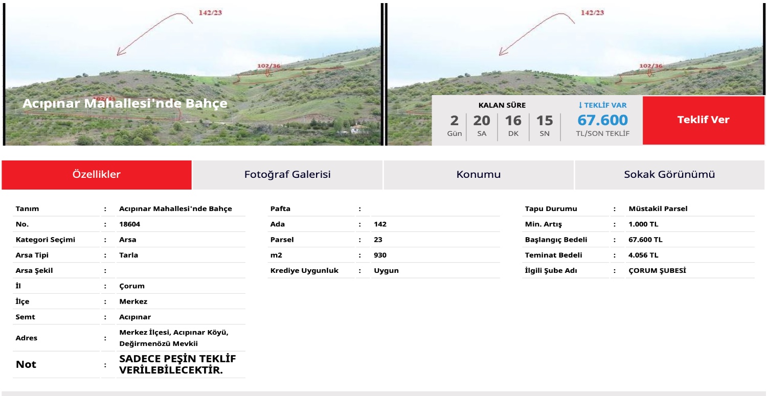 Birikimlerini yastık altı yapanlar bu fırsatı kaçırmayacak! 4.056 TL’ye 930 metrekarelik bahçe satılık