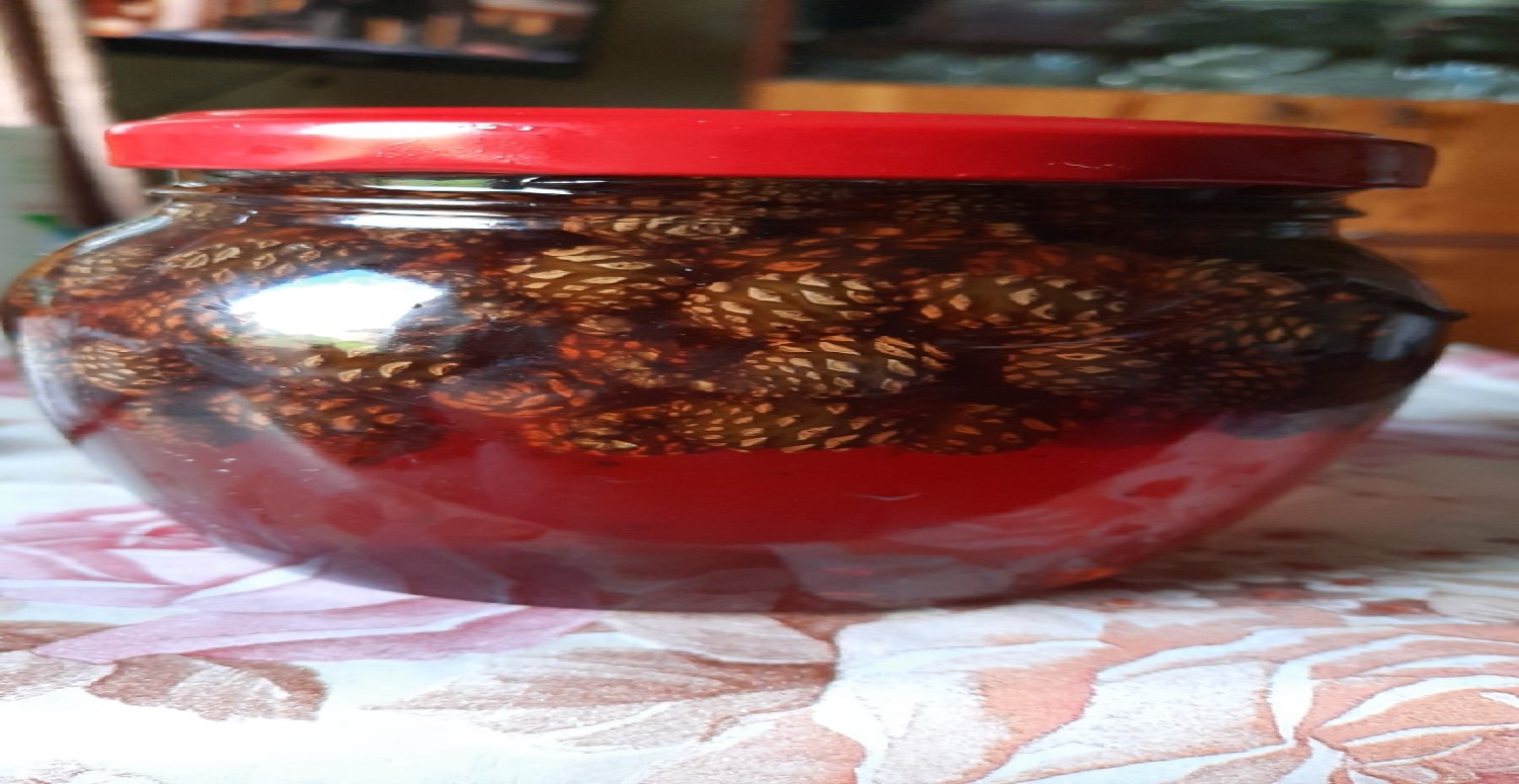 çam kozalağı hakkında