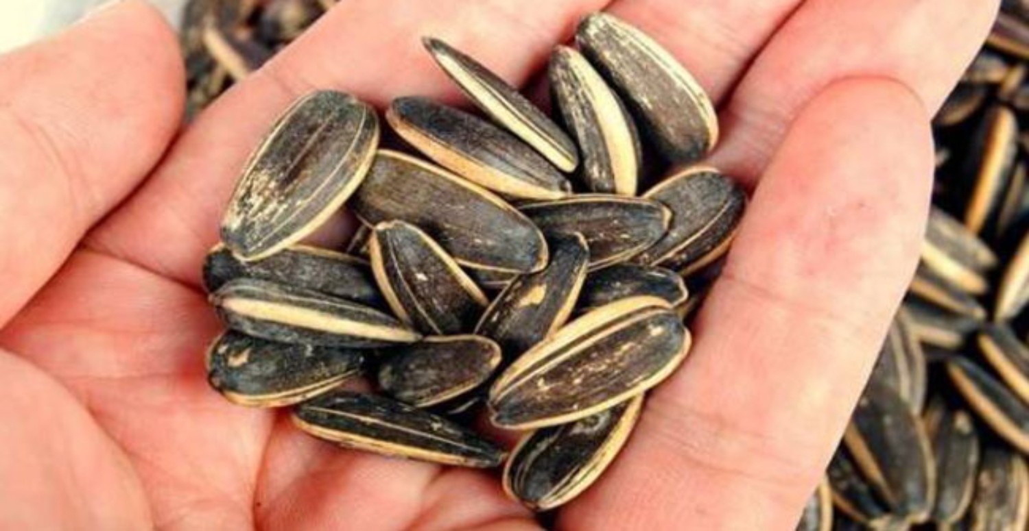 ÇEKİRDEK NE KADAR TÜKETİLİR