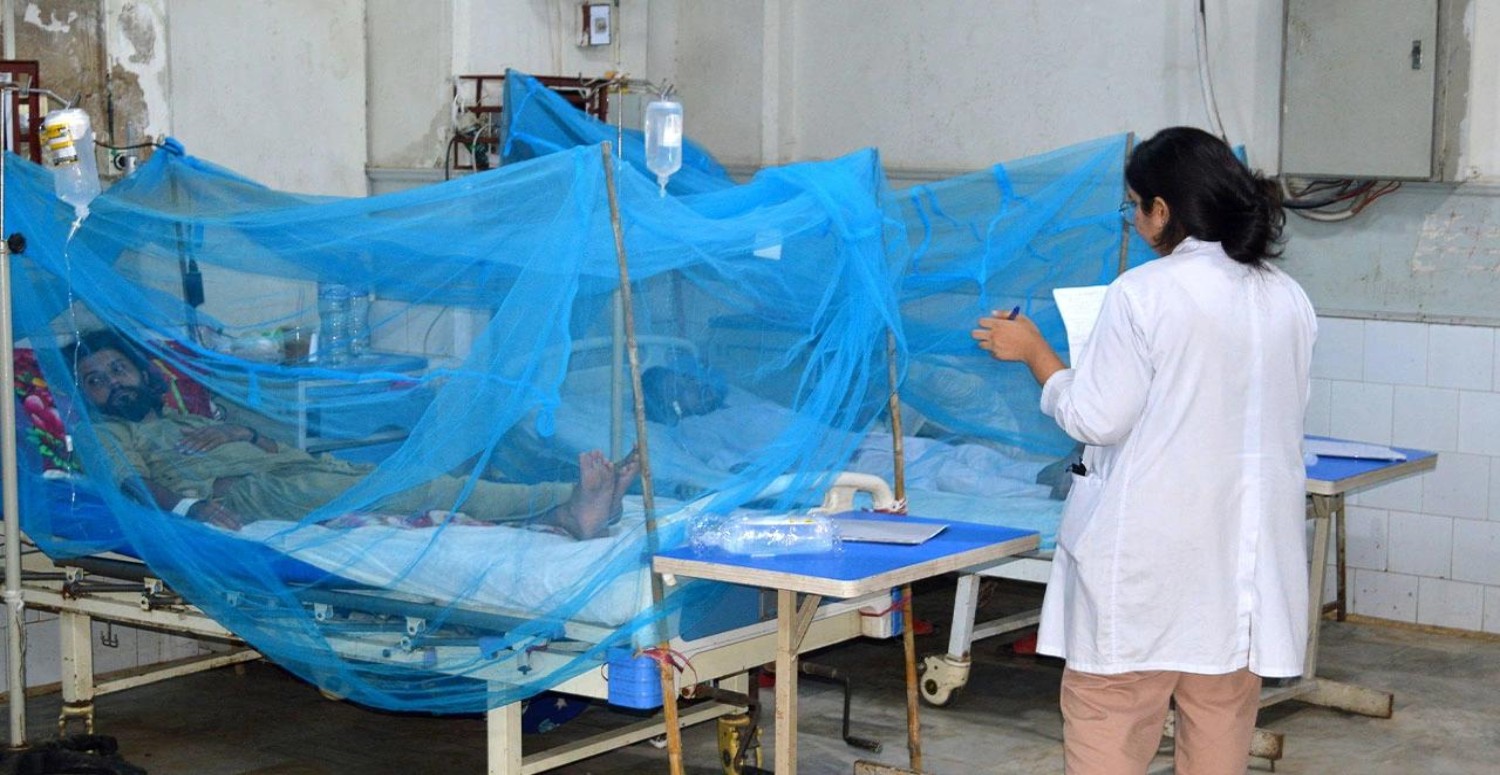 DANG HUMMASI HAKKINDA