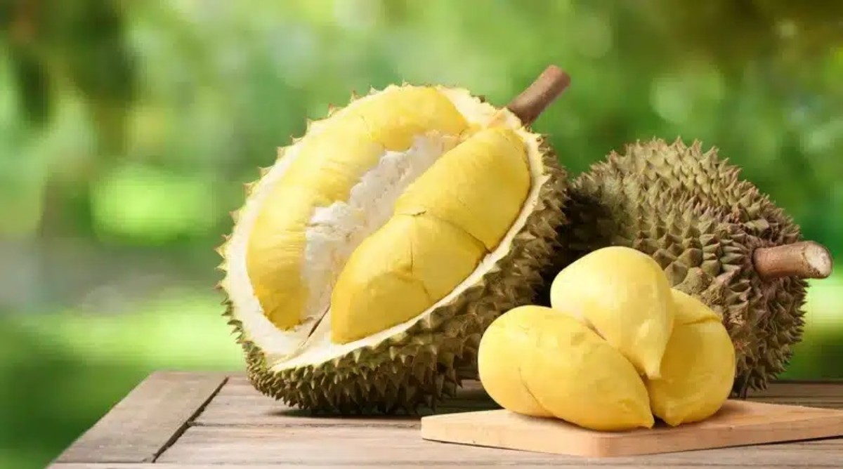 Durian meyvesinin faydaları