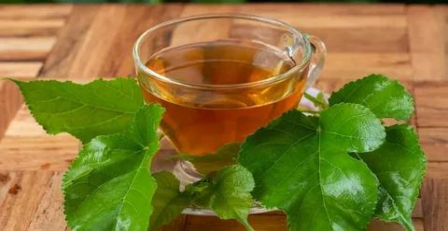 dut yaprağı çayı