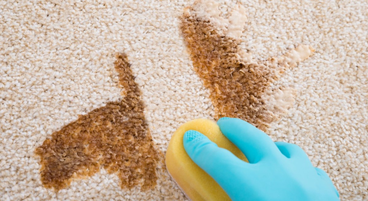 duvarda kahve lekesi