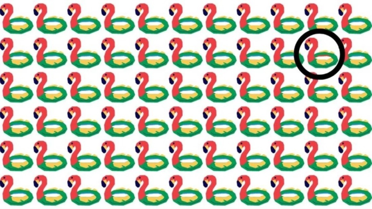 Görseldeki farklı can simidini bulanın IQ'su yüksek çıkıyor