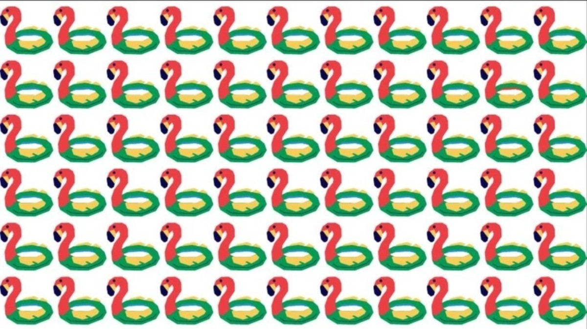 Görseldeki farklı can simidini bulanın IQ'su yüksek çıkıyor