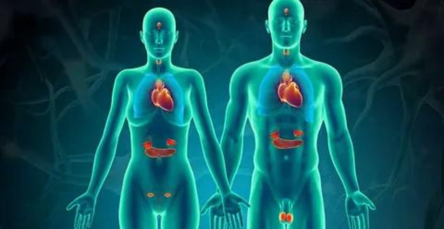 hormonal değişiklik