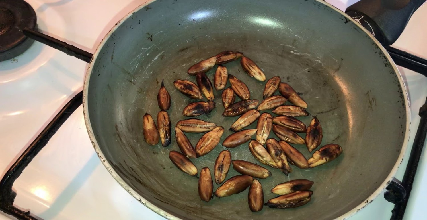 HURMA ÇEKİRDEĞİ KULLANIMI