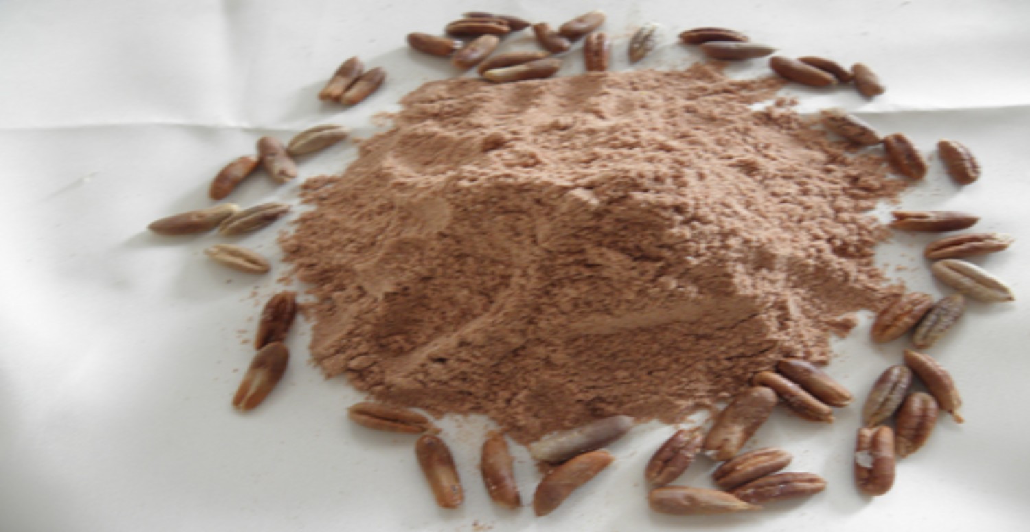 HURMA ÇEKİRDEĞİ YAN ETKİLERİ