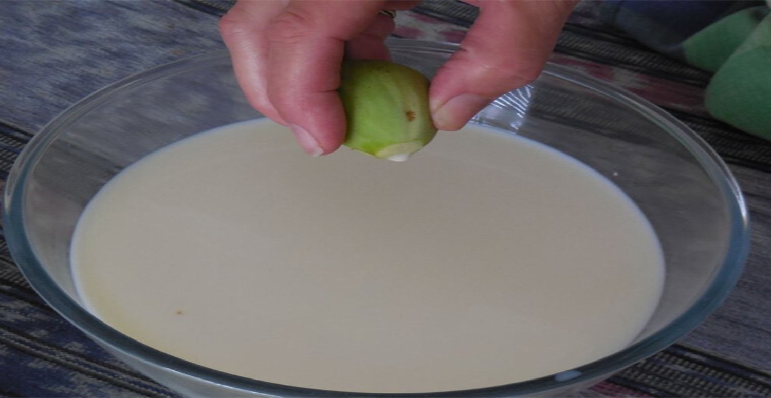 İncir sütü faydaları