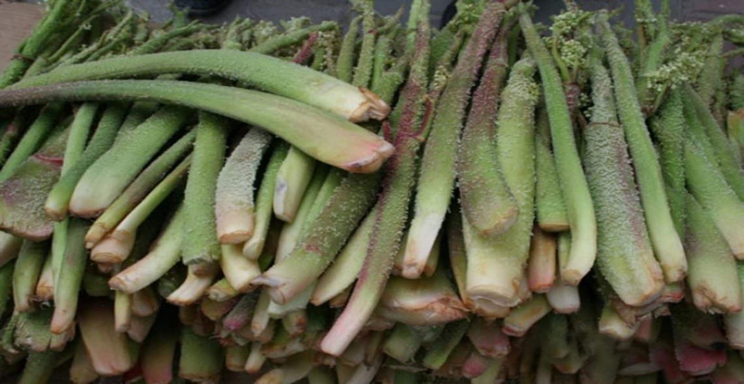 kansere karşı sebze