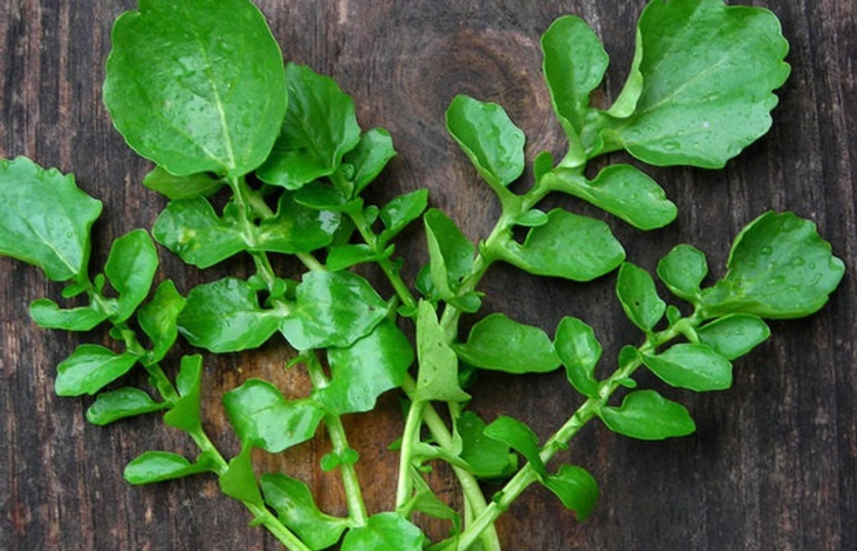 Kanseri doğal olarak önleyen yiyecekler