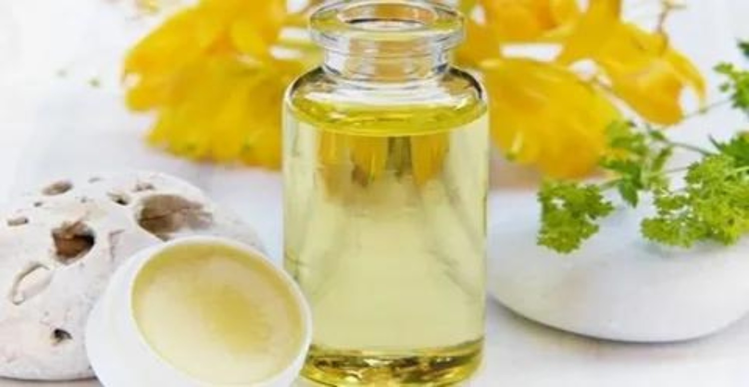 KARINCA YUMURTASI YAĞI FAYDALARI