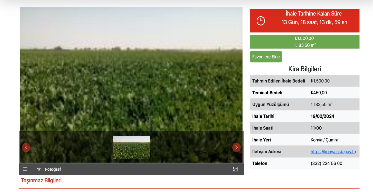 KONYA’DA 1183,50 METRE KARELİK TARLA 1500 TL’YE KİRALANACAK