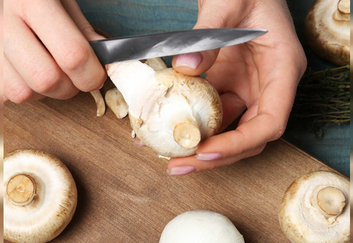 mantar nasıl temizlenir