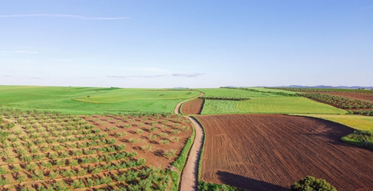 Milli Emlak 15.000 TL'ye o ilde arsa sahibi yapacak