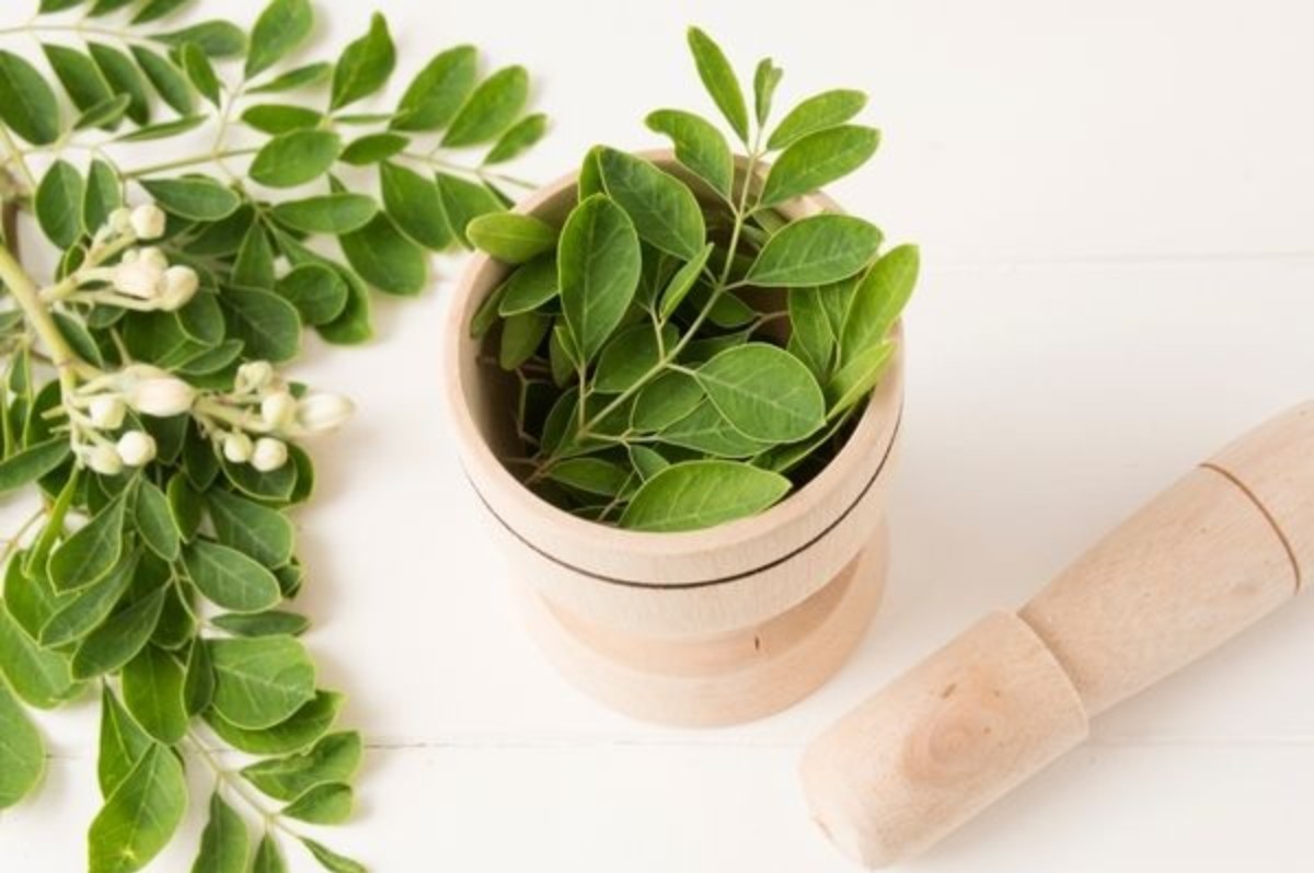 moringa bitkisinin faydaları
