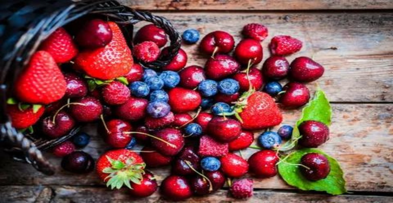 ORMAN MEYVELERİ NELERDİR