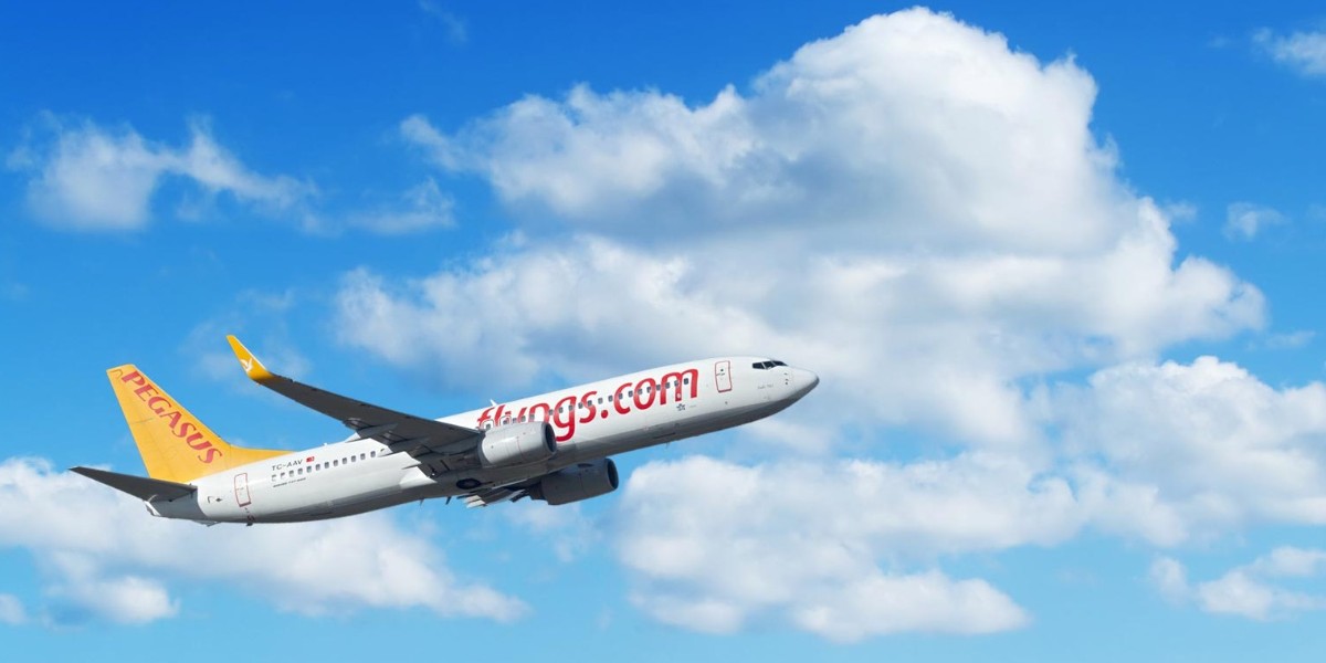 pegasus indirimli bilet