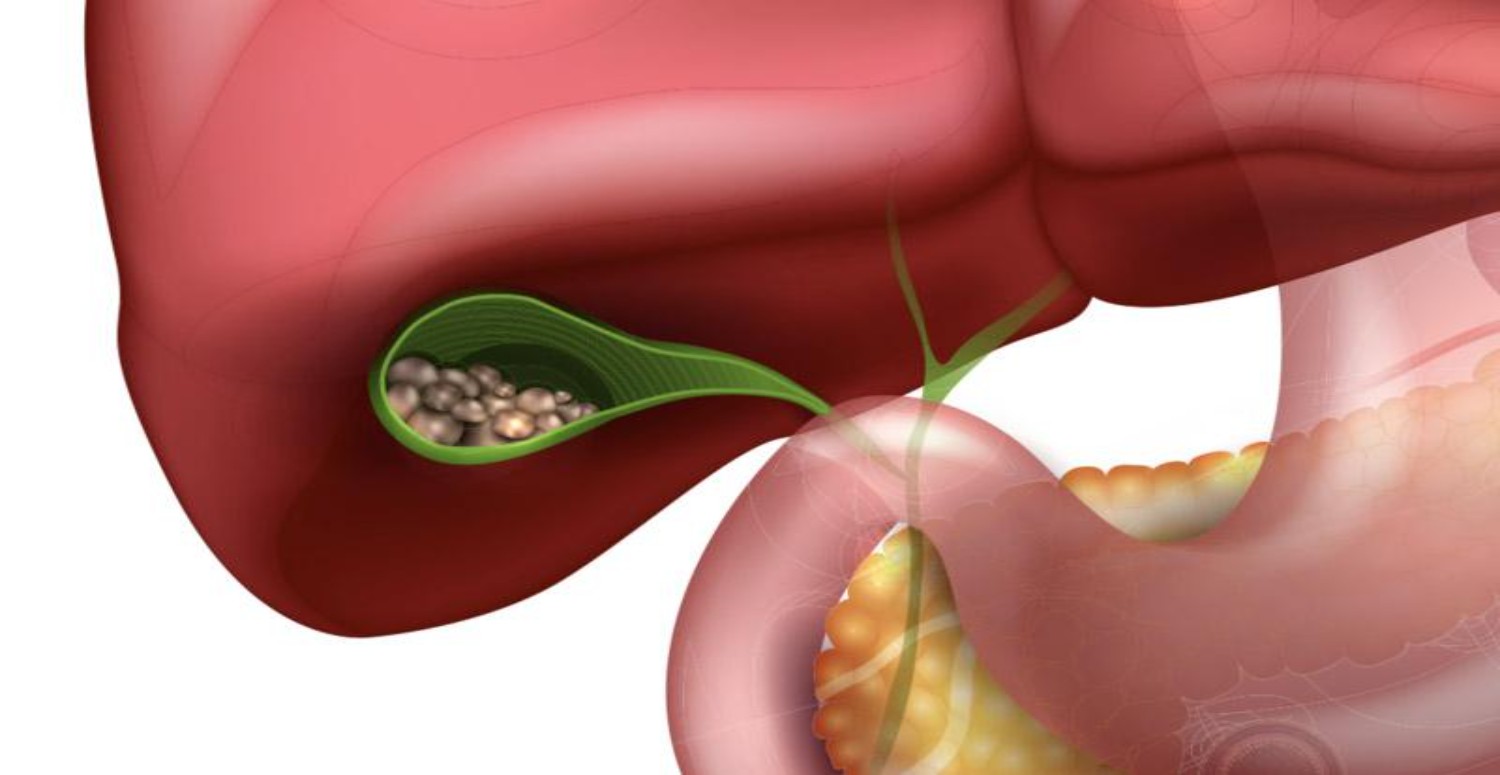 safra kesesi özellikleri