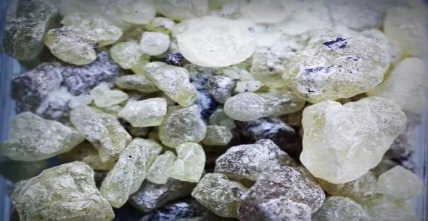 SANDALOZ SAKIZI ÖZELLİKLERİ