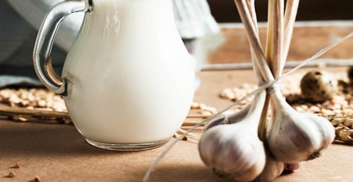 sarımsaklı süt faydası