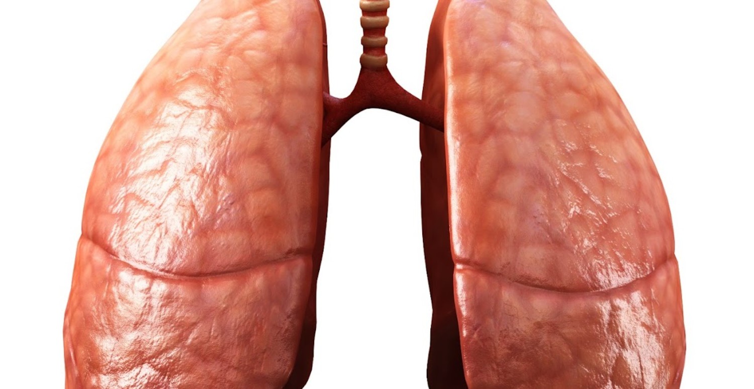 SİGARANIN ZARARLARI