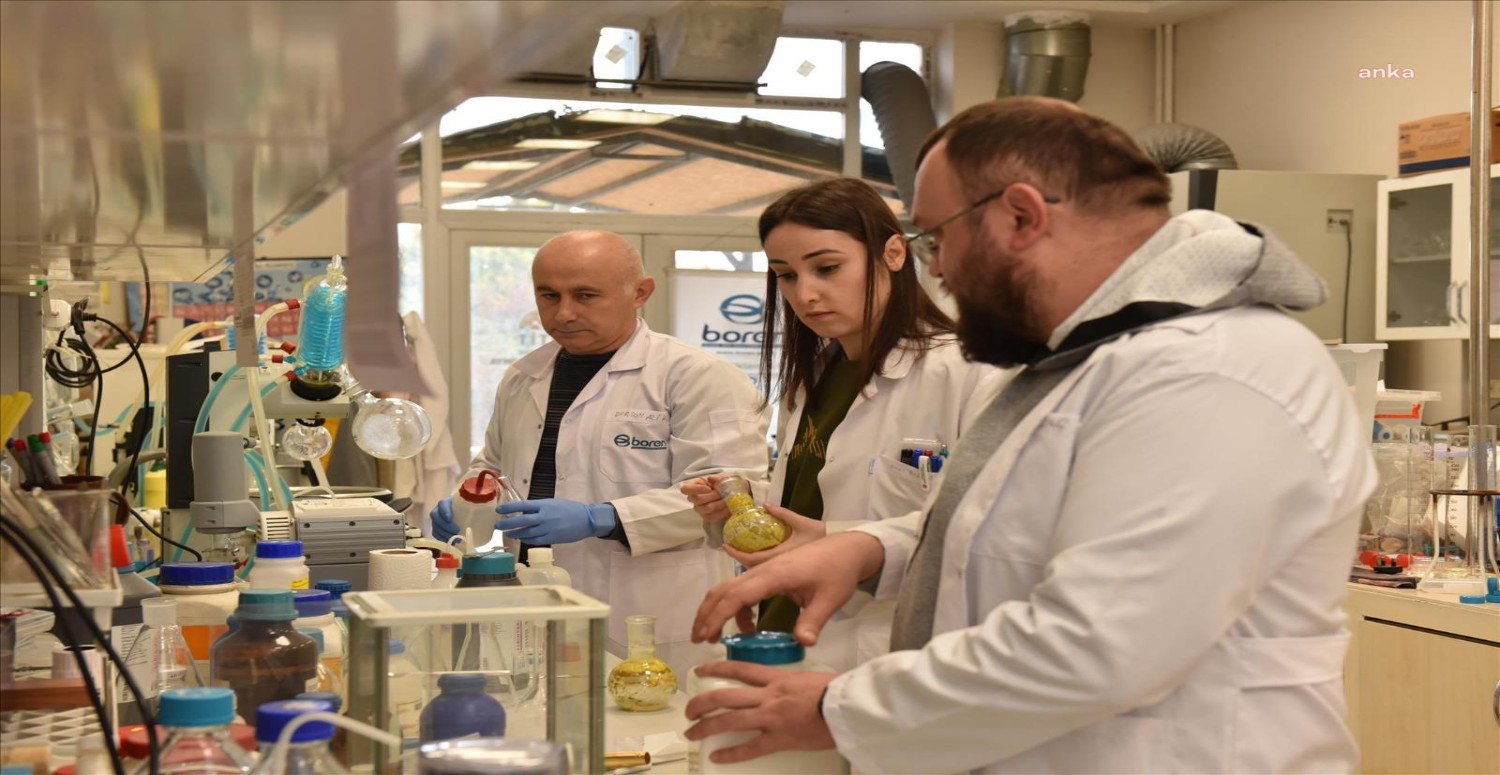 üniversitelerin başarıları